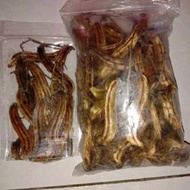 Rawe Gatal Tanaman Langka