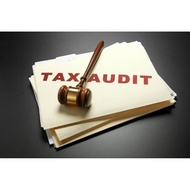 Tax audit preparation