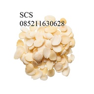 Xing Ren Ku Apricot Seed Bitter Apricot Seed or Kernel 600 grams