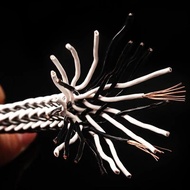 8TC 12TC DIY Speaker Cable 7N OCC Center Horn Cables HiFi Audio Amplifier Loudspeaker Wire