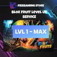 Blox Fruit LVL Up Service