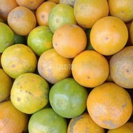 Jeruk Baby Fresh 1kg