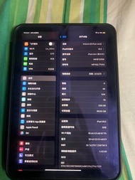 iPad Mini6 256G 蜂窩網絡