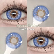WildnessBrown Colored Contact Lenses For Eyes Big Beauty Pupil Cosmetic Soft Contact Lens Yearly Nat