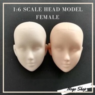 Head model 1/6 woman female Hot Toys Art Art Body Chan SHF