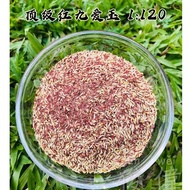 Eastern Hong Jiu Aiyu Jelly Seed [30gram]东方红久爱玉籽【30克】