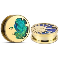 ERKUOO 2PCS Sun Moon Ear Gauges Screw Ear Tunnels Plugs Flesh Stretchers Piercing Earrings Hangers E