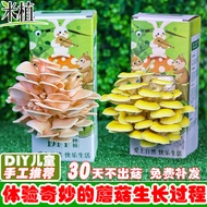 Mushroom Box Mushroom Cultivation Kit Home Indoor Mushroom Cultivation Kit Children's Fun Handmade E