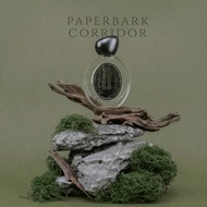 Paperbark Corridor 白千香水 | 綠意樺木 | 香港Grand Tour |EDP