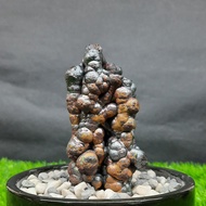 Twin Pillar Teardrops Leklai 双柱泪珠力泥 Leklai Goethite 100% Natural Leklai