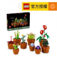 樂高 - LEGO® Icons 10329 迷你盆栽 (玩具,盆栽,大人玩具,植物擺飾,模型,禮物)