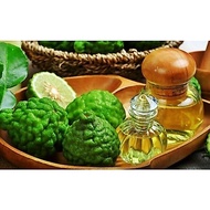 Kaffir Lime Essential Oil (Citrus Hystrix Leaf Oil)