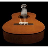 Yamaha Classic Guitar CG102/CG 102/CG-102+Softcase &amp;2Pick
