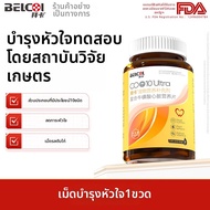 BELCOL | โคเอนไซม์ Q10 อาหารเสริมดูแลหัวใจสัตว์เลี้ยง