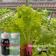 Ab mix cair siap pakai Sayuran daun