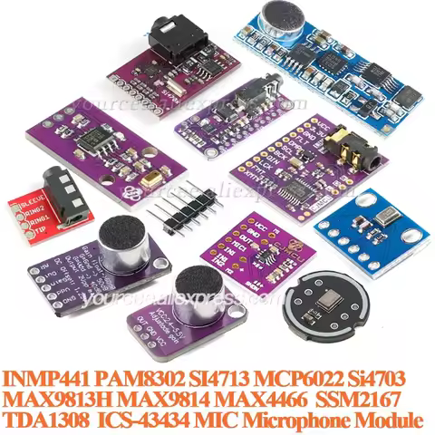 2pcs/1pc PAM8302 2.5W Class D Audio Power Amplifier PCM5102A MAX9813 MAX9814 MCP6022 Si4703 SI4713 I