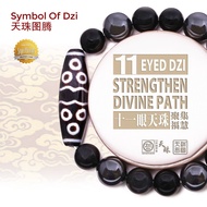 Dzi Kingdom 11 Eyed Dzi  Strengthen Divine Path 十一眼天珠 聚集福慧 天珠王国手链/项链 Bracelet/Necklace
