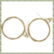 (C Z G L) 2 Sets of 6 Guitar Strings Replacement Steel String for Acoustic Guitar Guitar Changing To