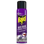 Raid Bed Bug Foaming Spray, Kills Bed Bugs and Their Eggs, for Indoor Use, Non-Staining, Keeps Killi