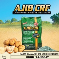 BAJA KHAS POKOK DUKU/LANGSAT 25kg 🔥🔥🔥