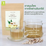 ชาสมุนไพรขิง Lemon Farm 50g ขิงฝานอบแห้ง สำหรับทำอาหารและต้มดื่ม ผลิตจากขิงที่ปลูกแบบออร์แกนิค