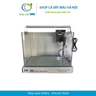 [COMBO] 30x19x21cm Molded Glass Tank With LED Light And Water Purifier | Office Aquarium