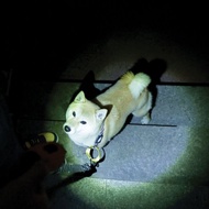 【MPETS】安全又方便! 犬用2合1 LED手電筒便便袋