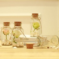 Wishing Bottle Glass Drift Bottle Decorative Bottle Drift Wood Plug Transparent Glass Bottle Home De