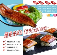 【海之醇】 頂級蒲燒鰻魚5隻組(170g±10%/隻)