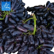 Buah anggur hitam jari panjang segar pilihan fresh Black Sapphire grape grapes 500g