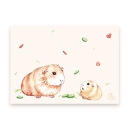 天竺鼠吃吃 (乾草、小黃瓜) 明信片 卡片