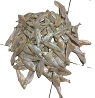 Ikan asin kalapan cop/ cincau madu