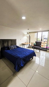 C3-S10 MASTER EXECUTIVE SUITE at ITESM CEM