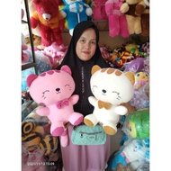Cute XL marry cat Doll Real Pict/