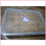 ◊ ▪ Graham Balls Original Honey Grahams 24 pcs