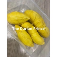 Pahang MSW (480g) The Durian Prince 高山