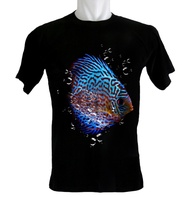 Kaos Ikan Discus Cantik