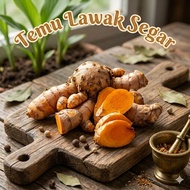 Fresh Organic Temulawak 500g - Traditional Herbal Medicine & Medicine Ingredients (COD)