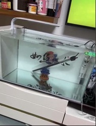 魚缸 60cm 30高30寬 100蚊 洪水橋附近拎 都可以幫你叫車送過去