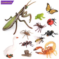 LOVETOUCH Educational Life Cycle Toys Realistic Animal Models Collection Insect Frog Spider Ducks Ge