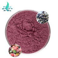 Manufacturers directly supply Acai powder food grade Acai berry powder 99%