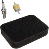 Penapis Udara dengan Penapis Bahan Api Palam Pencucuh untuk Penjana Generac GP5500 GP6500 GP6500E GP