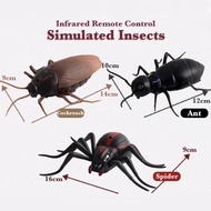 Remote Insect Spider Toy for Child Adult Cool Anti-stress Gadget Interesting Insect Spider Cockroach