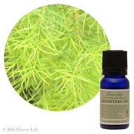 【茶樹精油】Melaleuca alternifolia (Tea tree)