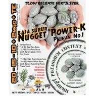 Nugget Power-K Slow Release Fertilizer | BAJA NUGGET LAMBAT LARUT *5pcs~25pcs | 90g~500g* Baja Subur