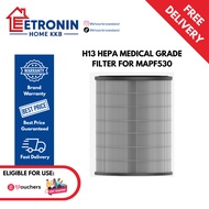 Mistral H13 HEPA Medical Grade Filter for MAPF530