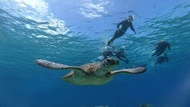 沖繩自由行-青洞體驗浮潛一日遊