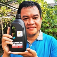 PROMO- HORMON TANAMAN GA4+7 GIBERELIN 1 LITER PEMBESAR BUAH DAN DORMAN BREAK -QISHOP14