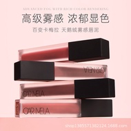 lipmatte lipmatte meknuraini lipmatte waterproof Camera Lipstick K04 Milk Coffee Lip Glaze Matte Lip