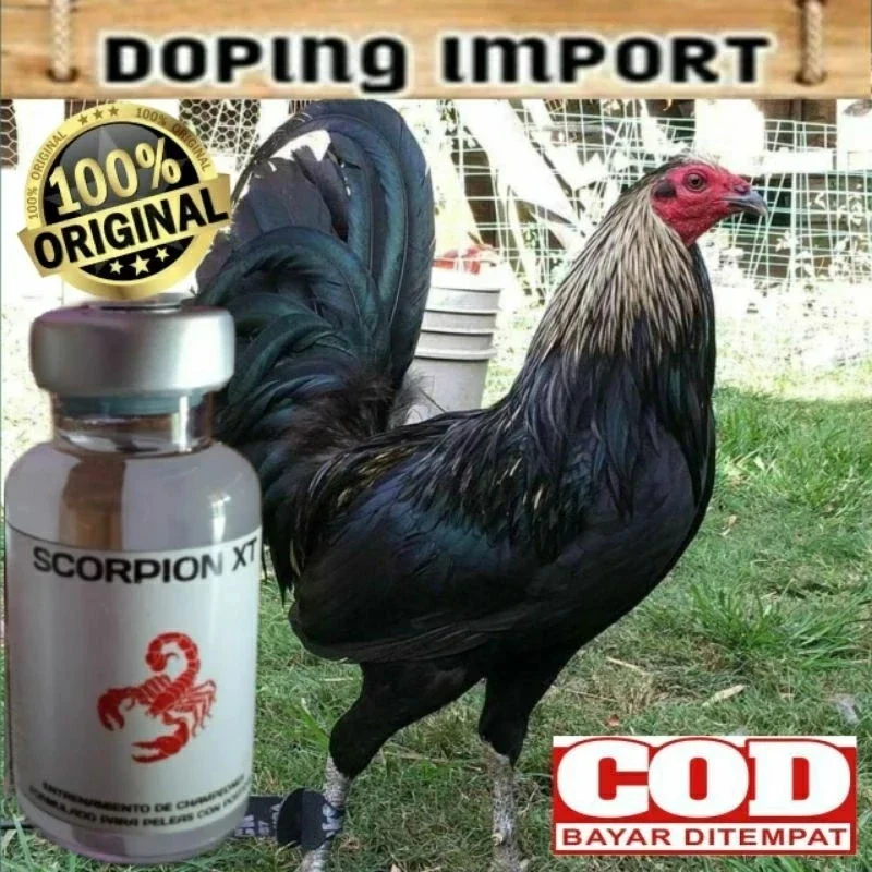 SCORPION XT - Doping Ayam Aduan Original Philiphin Untuk Doping Ayam Bangkok Atau Ayam Taji Pisau